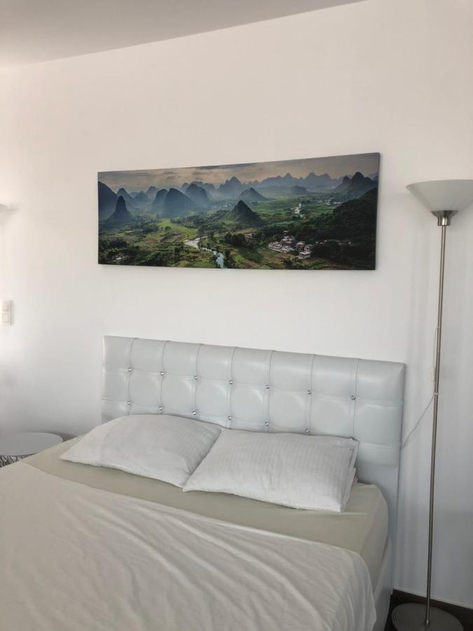 Villa Residence Sînmartin エクステリア 写真